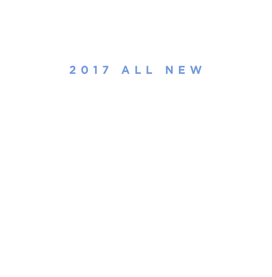 2017 ALL NEW ȸ