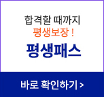 평생패스