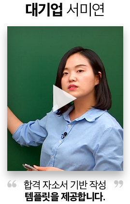 대기업 서미연