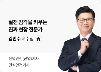 김민수 교수님