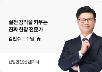 김민수 교수님