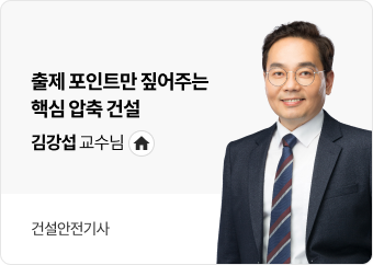 김강섭 교수