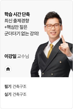이강일 교수님